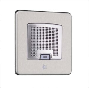 TWS Bluetooth Audio Speaker