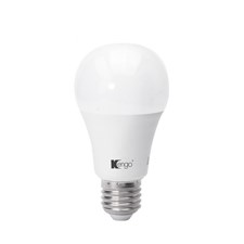 10W GLS LED Lamp E27